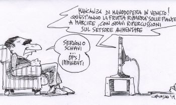 Manodopera